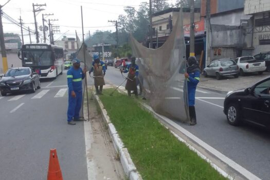 Prefeitura de Ribeirão Pires realiza roçagem em vias da cidade